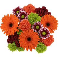 8 Sunny Days Arrangements