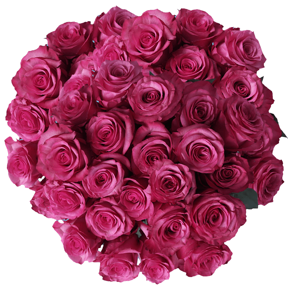 Online Hot Pink Lola Roses Flower Special Prices