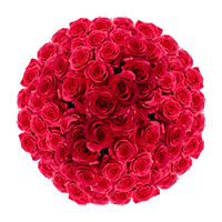 Rose Sht Hot Pink (QB) [Include Flower Food] (OM) For Delivery to Biloxi, Mississippi