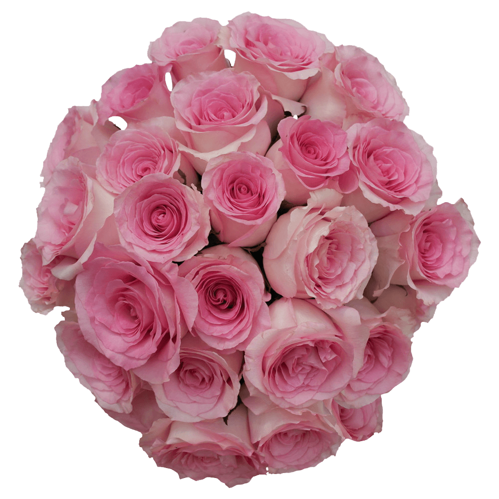 Online Light Pink Champagne Mandala Roses Cheap Flower Delivery