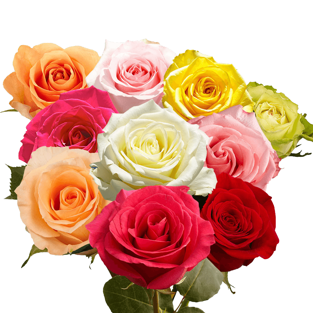 (QB) Rose Long Qty 3 Bunches For Delivery to Pahrump, Nevada