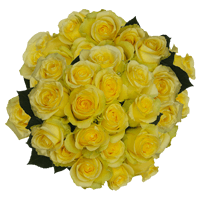 (OC) Rose Sht Minion Yellow 2 Bunches For Delivery to Batavia, Illinois