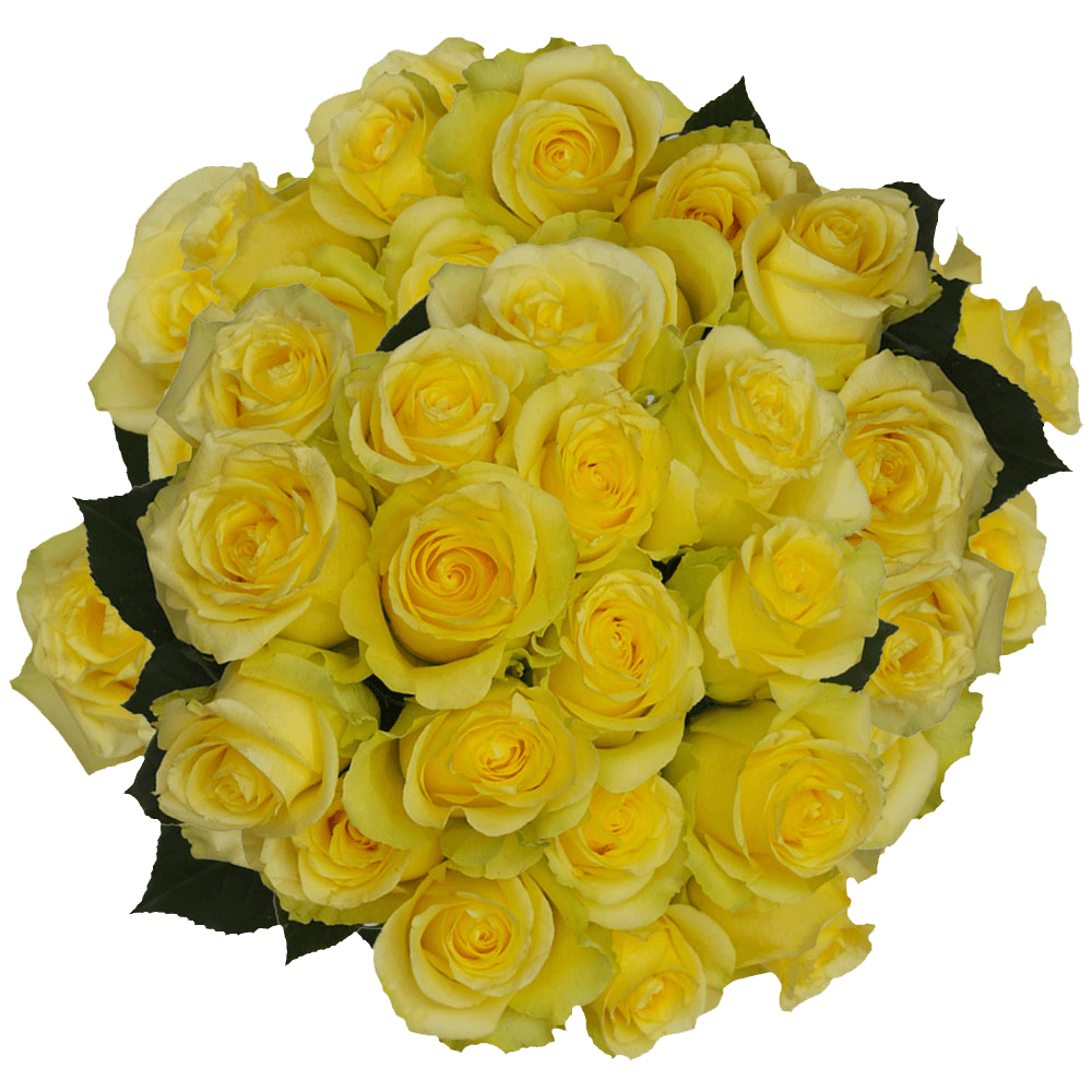 Online Minion Yellow Rose Delivery