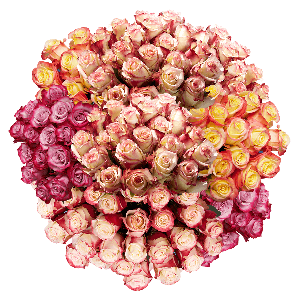 Online Multicolor Rose Bulk Delivery