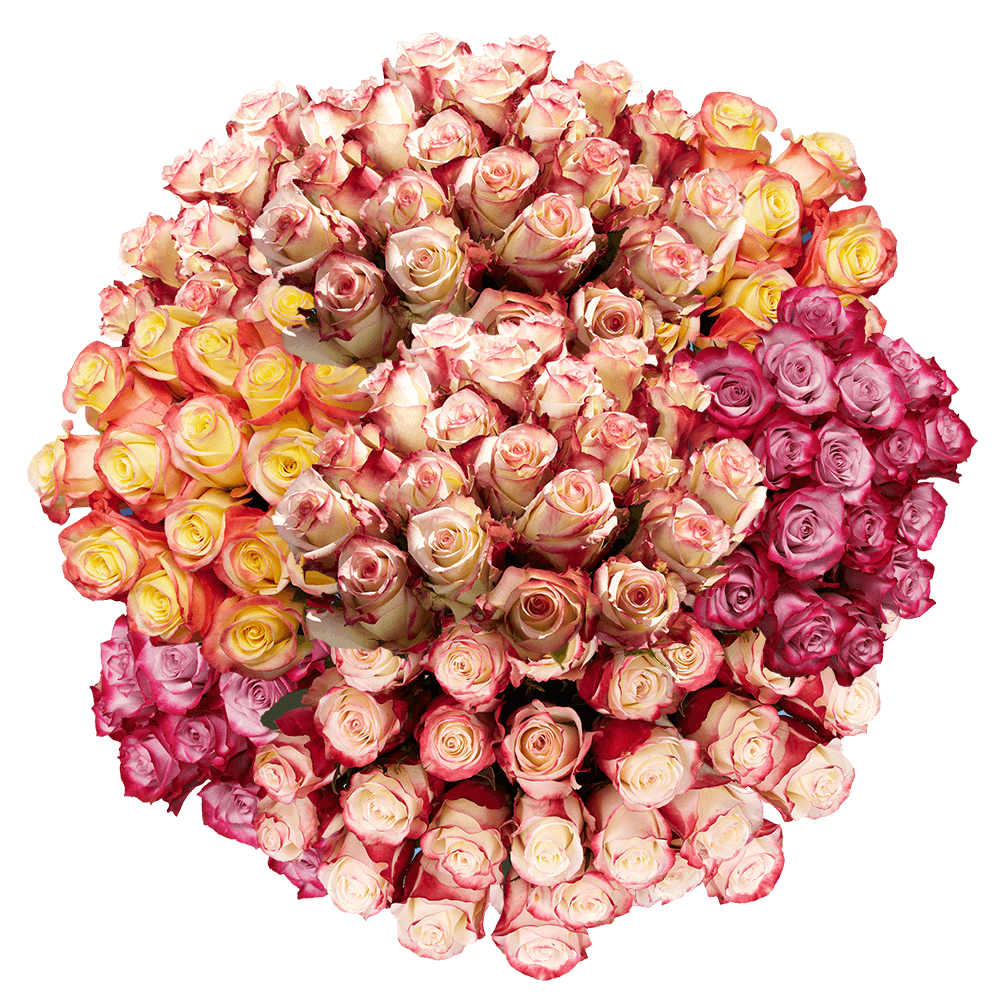 Online Multicolor Rose Wholesale Delivery