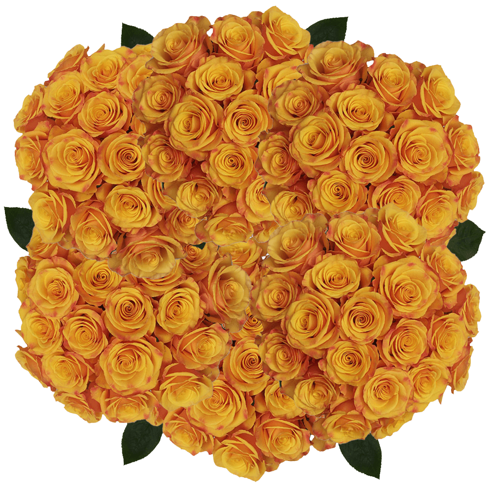 Online Pale Orange Tycoon Roses Cheap Flower Delivery