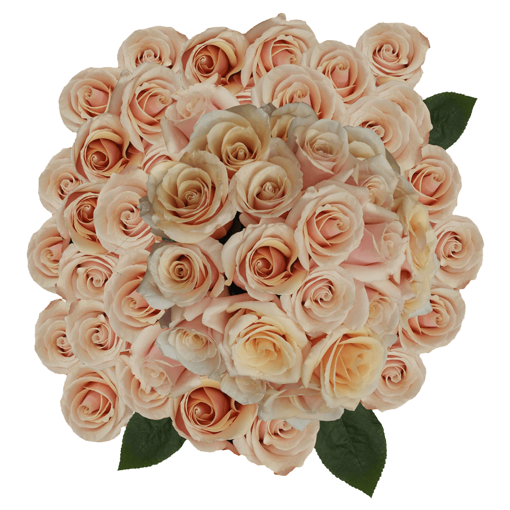 Online Pink Roses Cheap Flower Delivery