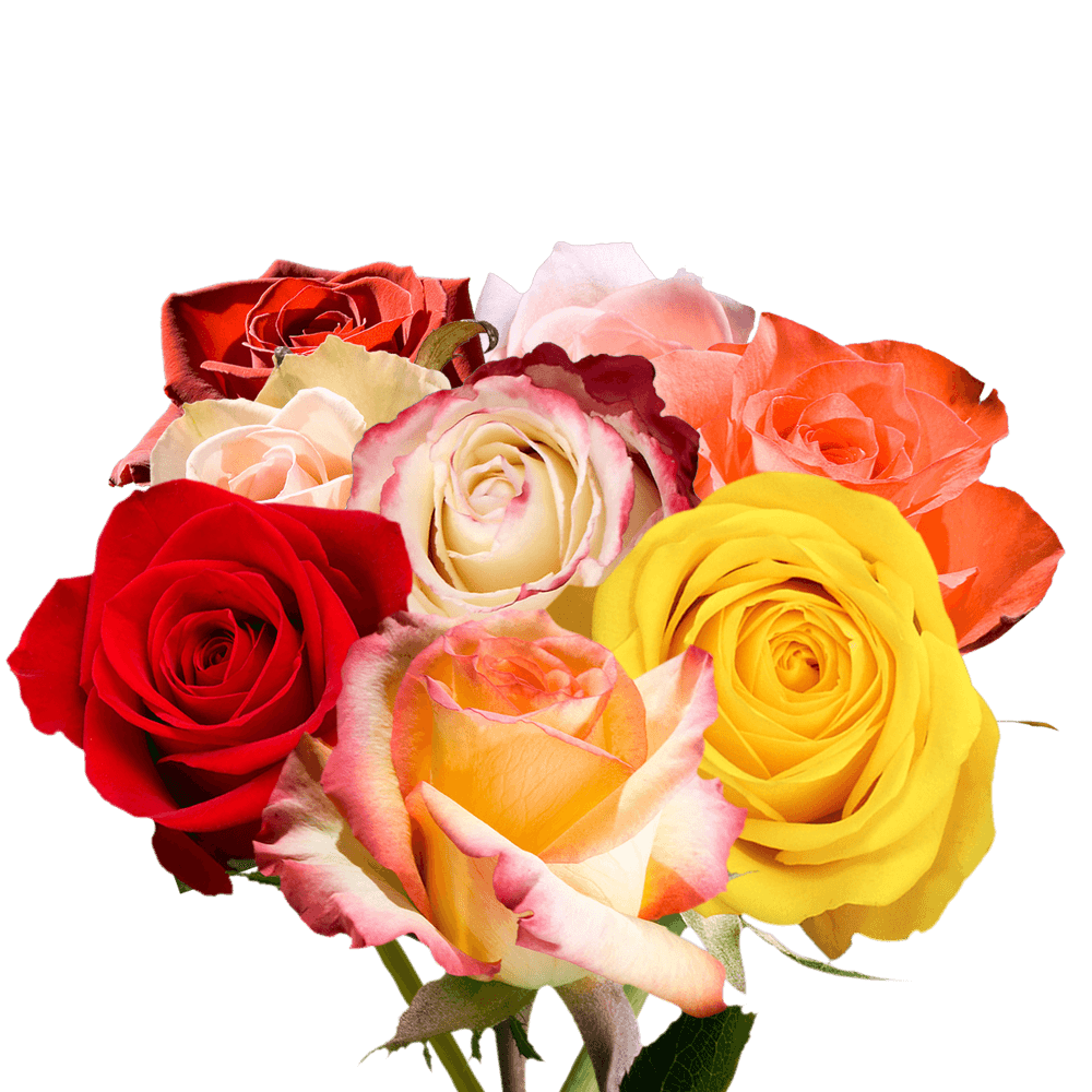 Flower Delivery to Faqs.Html, :