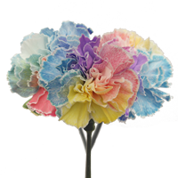 (OC) Carnations Std Rainbow 4 Bunches For Delivery to Bella_Vista, Arkansas