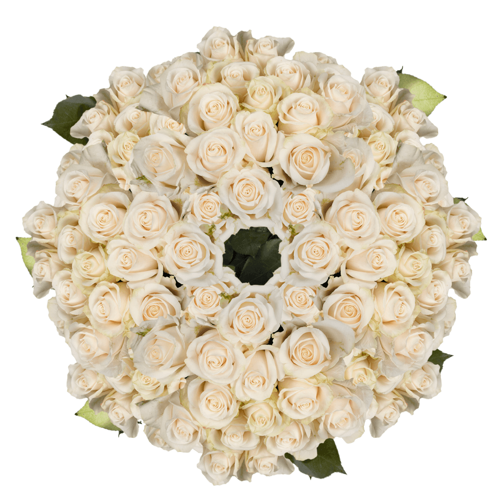 (2HB) 400 Roses Sht Ivory 16 Bunches For Delivery to Northridge, California