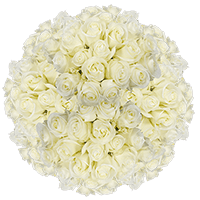 (3HB) 750 Rose Sht Solid White 30 Bunches For Delivery to Joplin, Missouri
