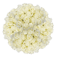 (2HB) Rose Sht White 20 Bunches For Delivery to Crystal_Lake, Illinois