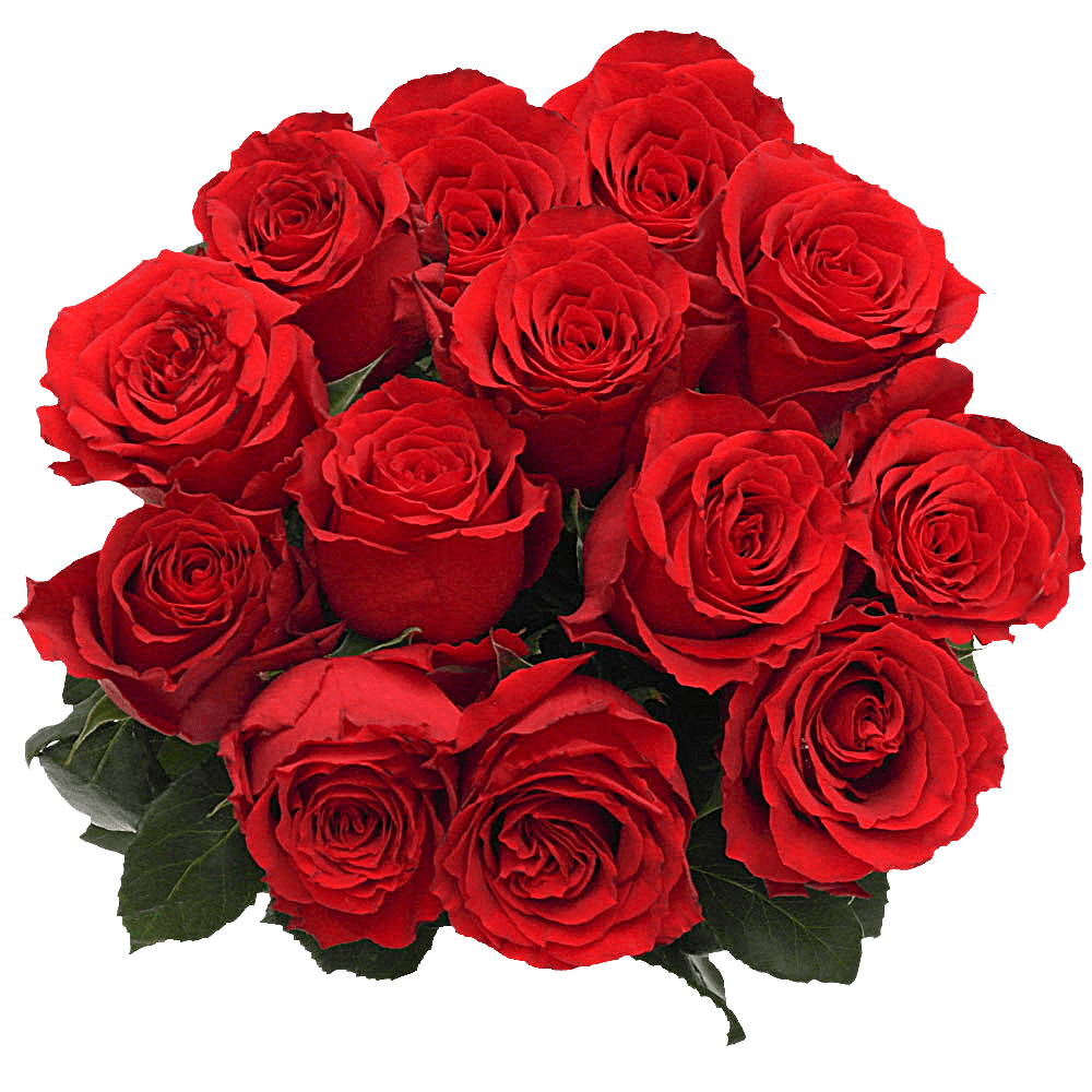Online Undercover Red Roses Delivery