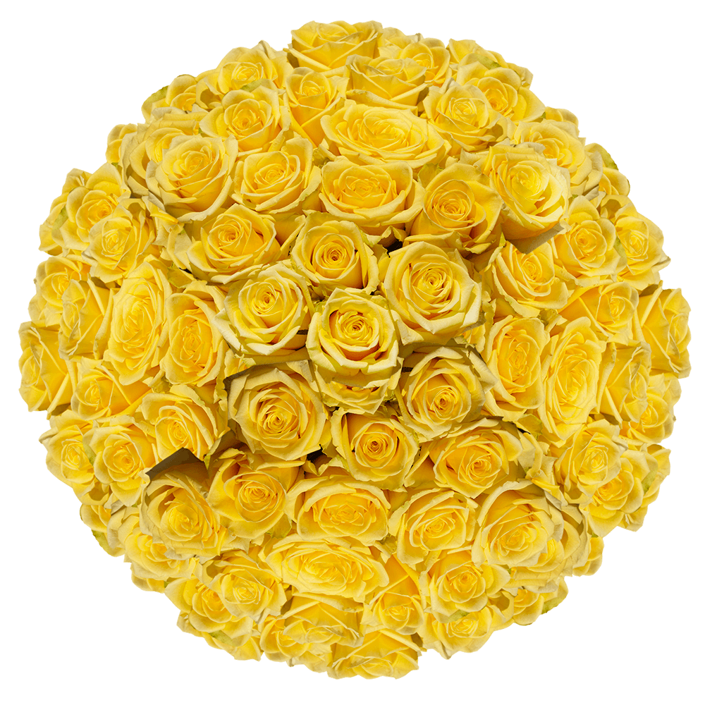 Online Yellow Roses Low Wholesale Prices