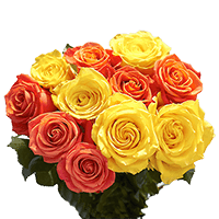 (2HB) 2 BOXES Rose Sht Half Orange Half Yellow 20 Bunches For Delivery to Livonia, Michigan