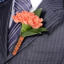 2-bt-carn-orange-RB-orange