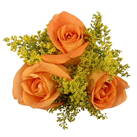(QB) CP Orange Rose Solidago Arrangement 8 Centerpieces For Delivery to New_Mexico