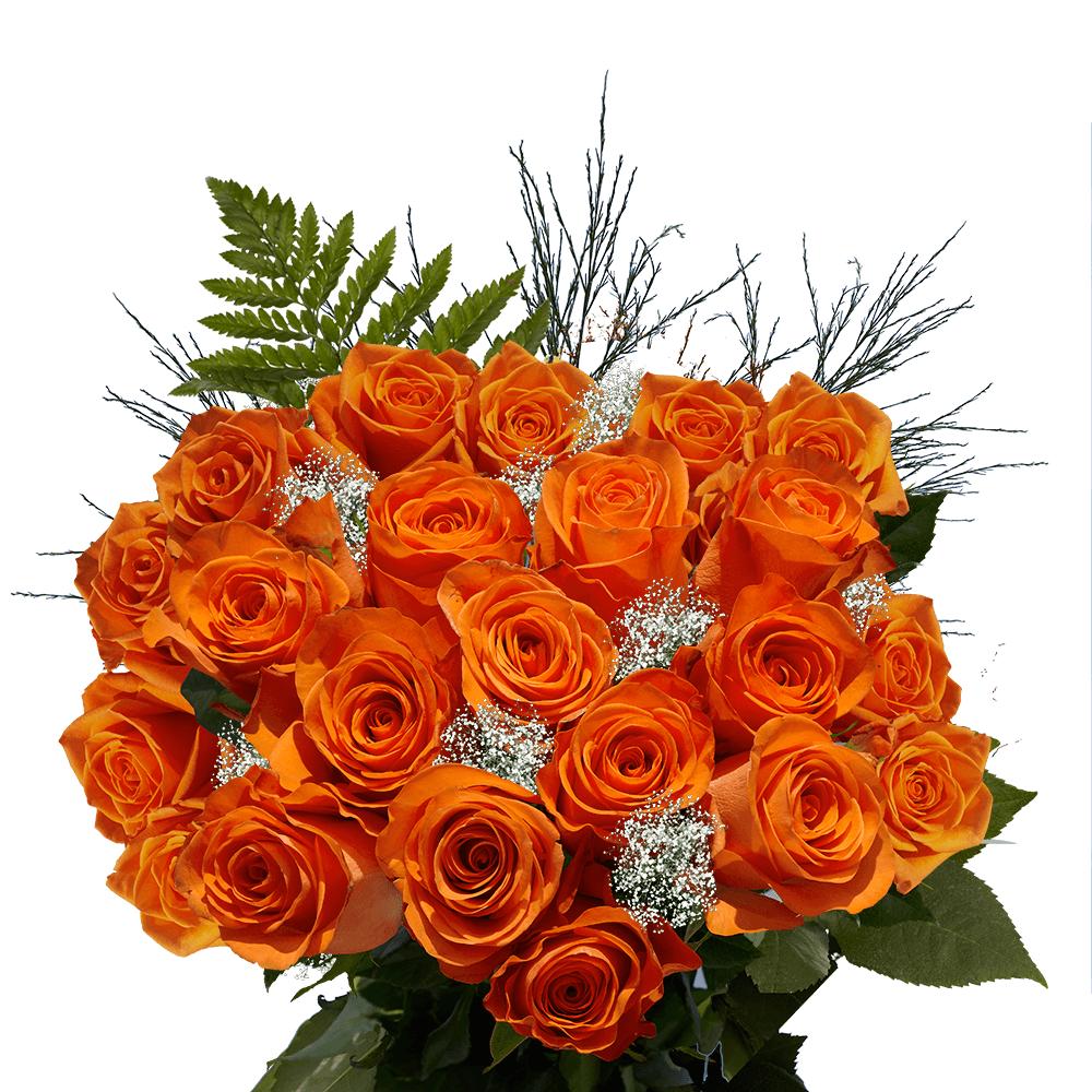 Orange Rose Bouquets 24 Roses Flowers for Valentine's