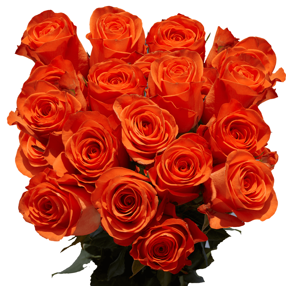 Orange Roses for Mother's Day Flower Arrangements