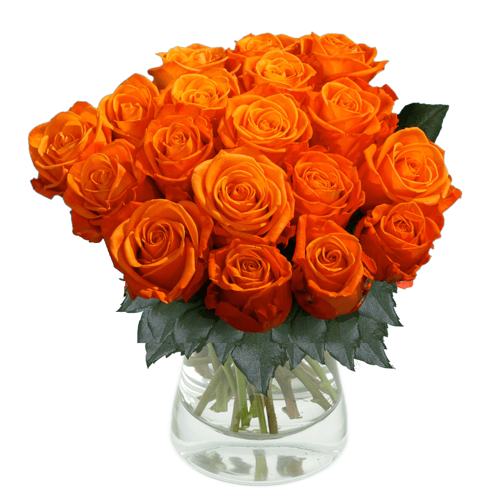 Order Orange Roses Online, Bulk Orange Roses Delivery