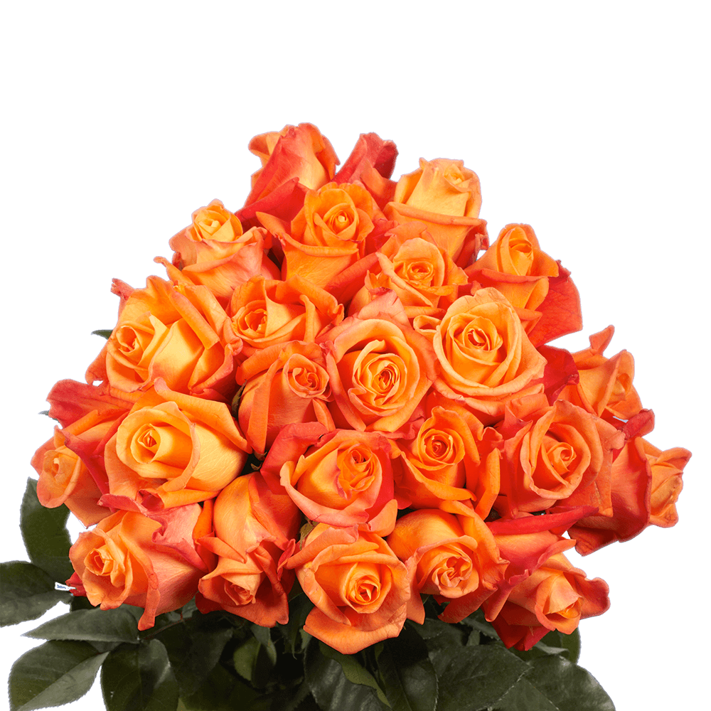 Qty of Orange Roses For Delivery to Bellevue, Nebraska