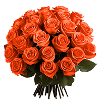 Qty of Valentines Day Orange Roses For Delivery to Washington
