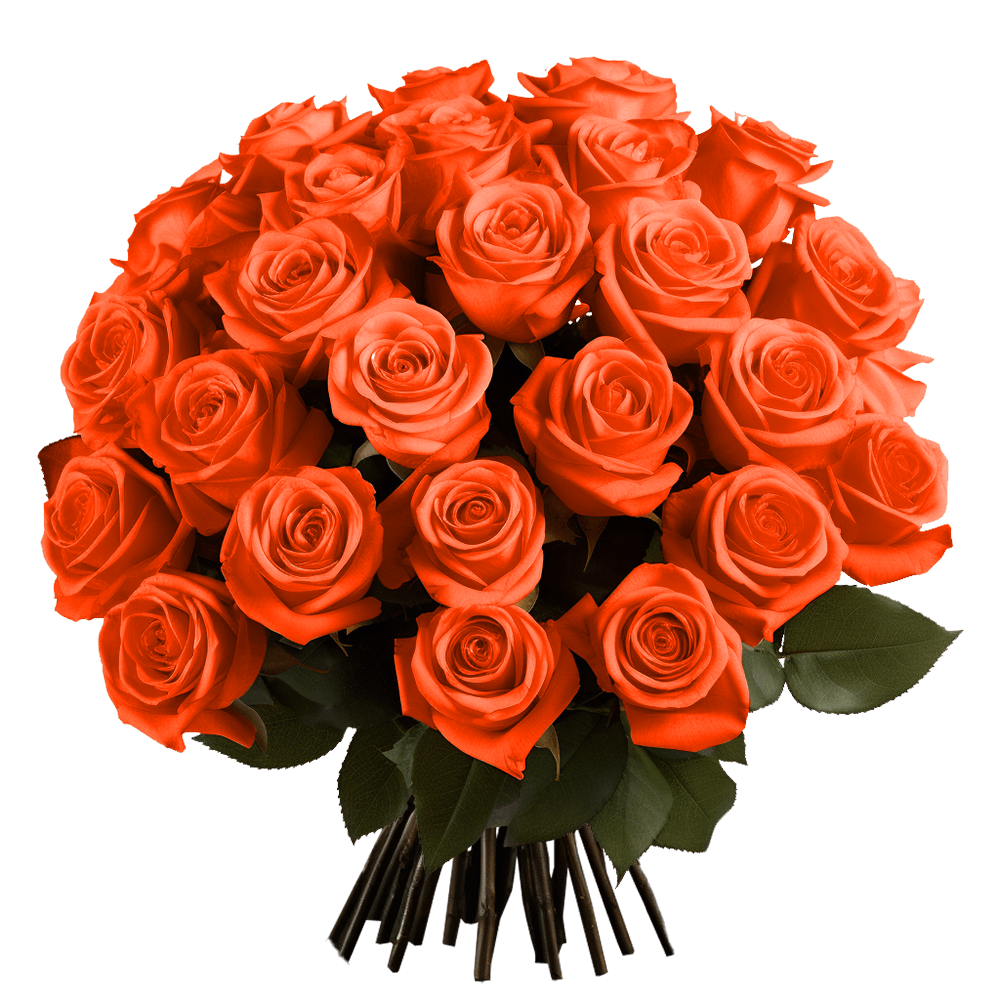 Qty of Valentines Day Orange Roses For Delivery to Newark, Delaware
