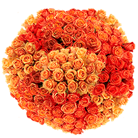 Choose Your Quantity of Solid Orange Color Roses For Delivery to Montana