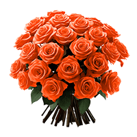 Qty of Mothers Day Orange Roses For Delivery to Brooklyn, New_York