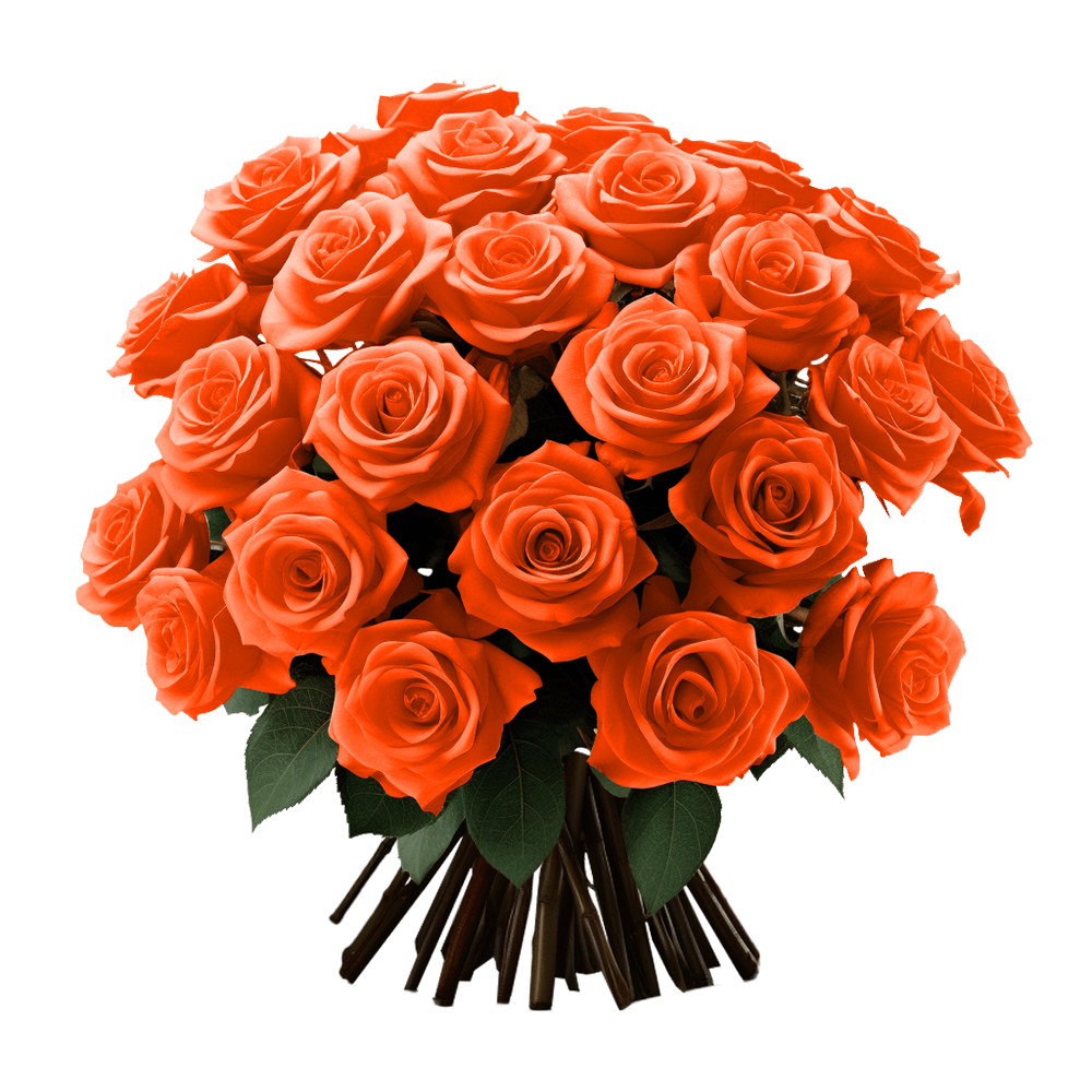 Qty of Mothers Day Orange Roses For Delivery to Spokane, Washington