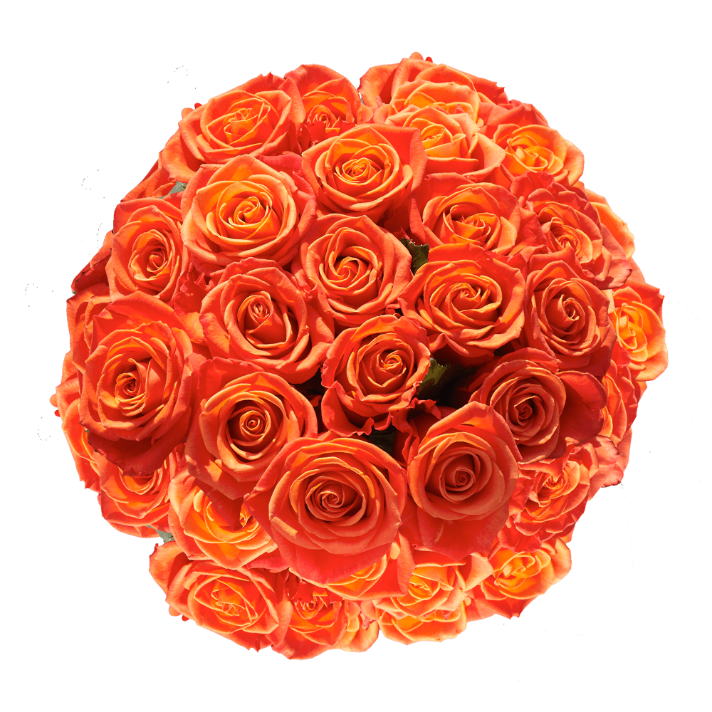 Orange Roses Valentine's Day Flowers Sale
