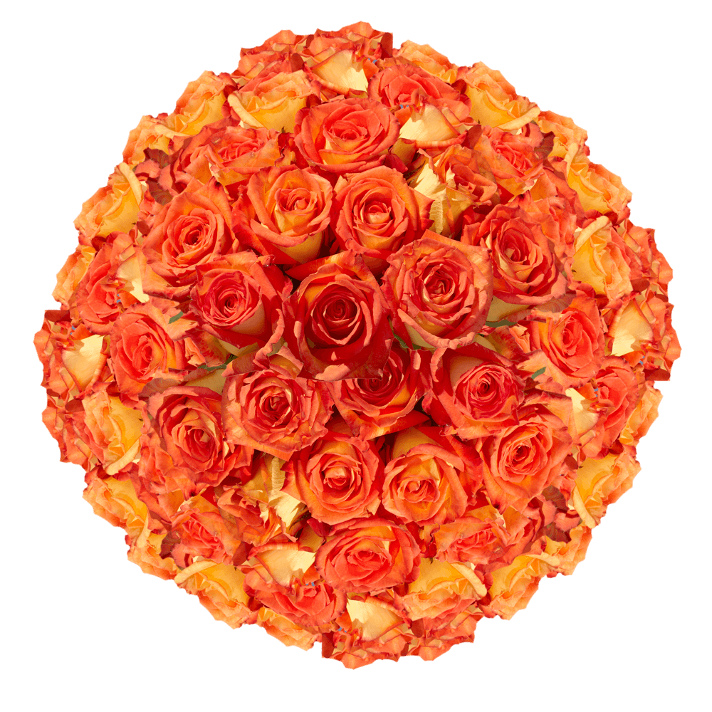 Order Bright Orange and Yellow Roses