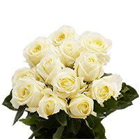 (OC) Dozen Med Ivory Roses 1 Bunch For Delivery to Queensbury, New_York