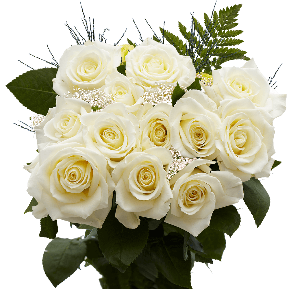 (OC) Dozen Long White Roses And Filles 1 Bunch For Delivery to Springfield, Illinois