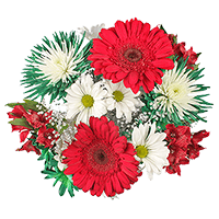 (OC) Christmas Harmonious Flower Bqt For Delivery to Flagstaff, Arizona