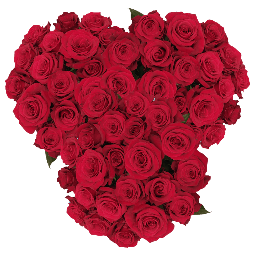 Order Flowers Online Scarlet Red Roses For Sale