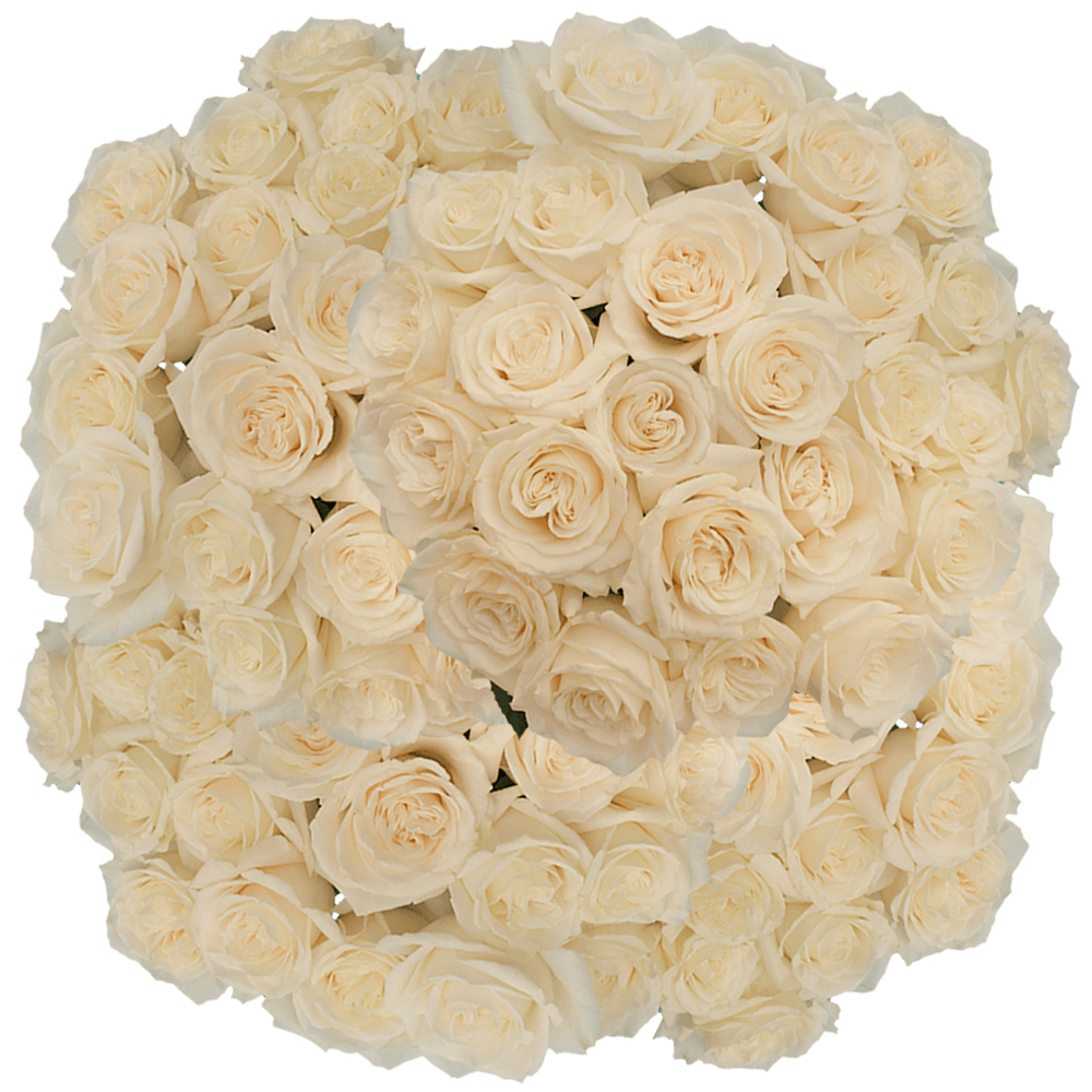 (HB) Rose Long White Playa Blanca For Delivery to Park_City, Utah