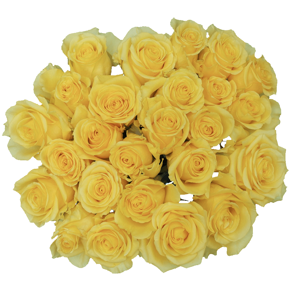 Order Flowers Yellow King Roses