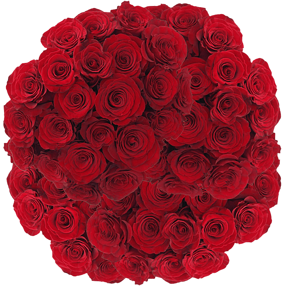 (HB) Rose Long Hearts Red Rose For Delivery to Orange_Park, Florida