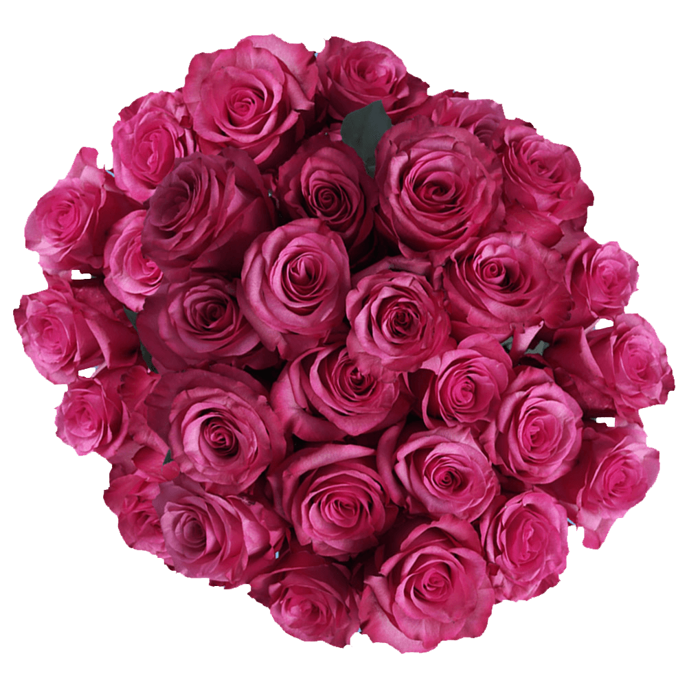Order Hot Pink Roses Discount Cost