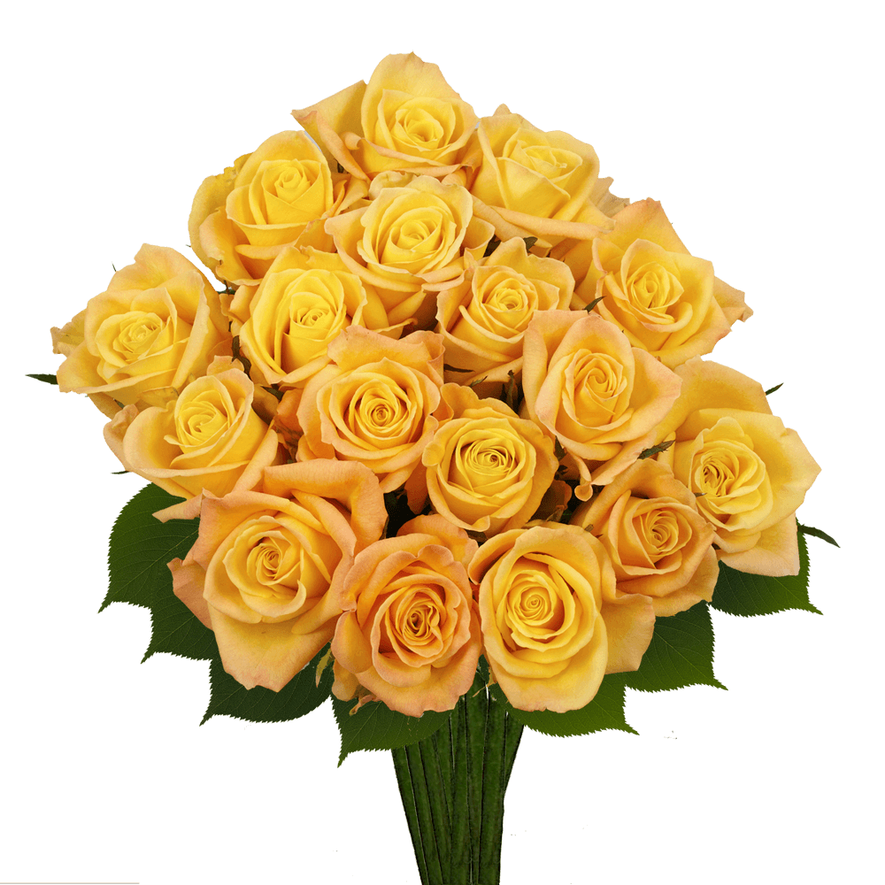 Order Light Yellow Roses