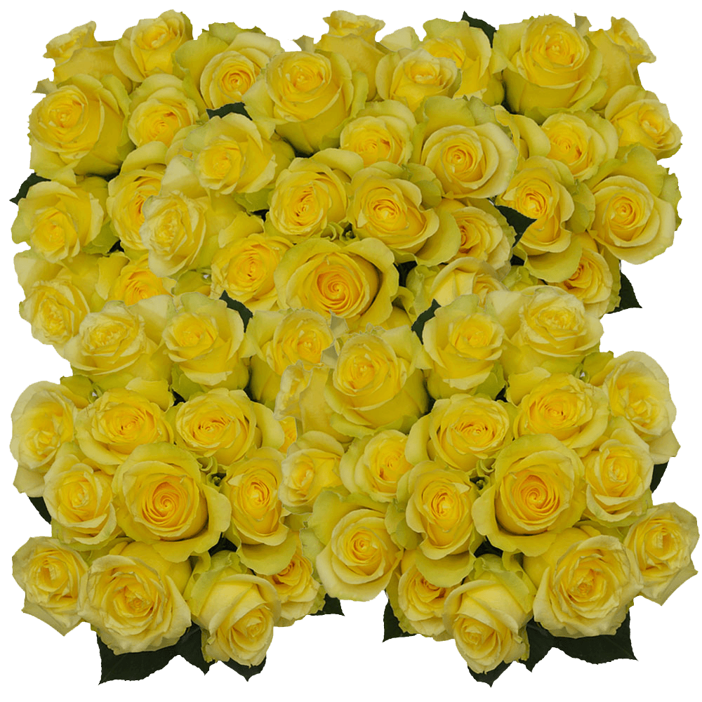 Order Minion Yellow Rose Online