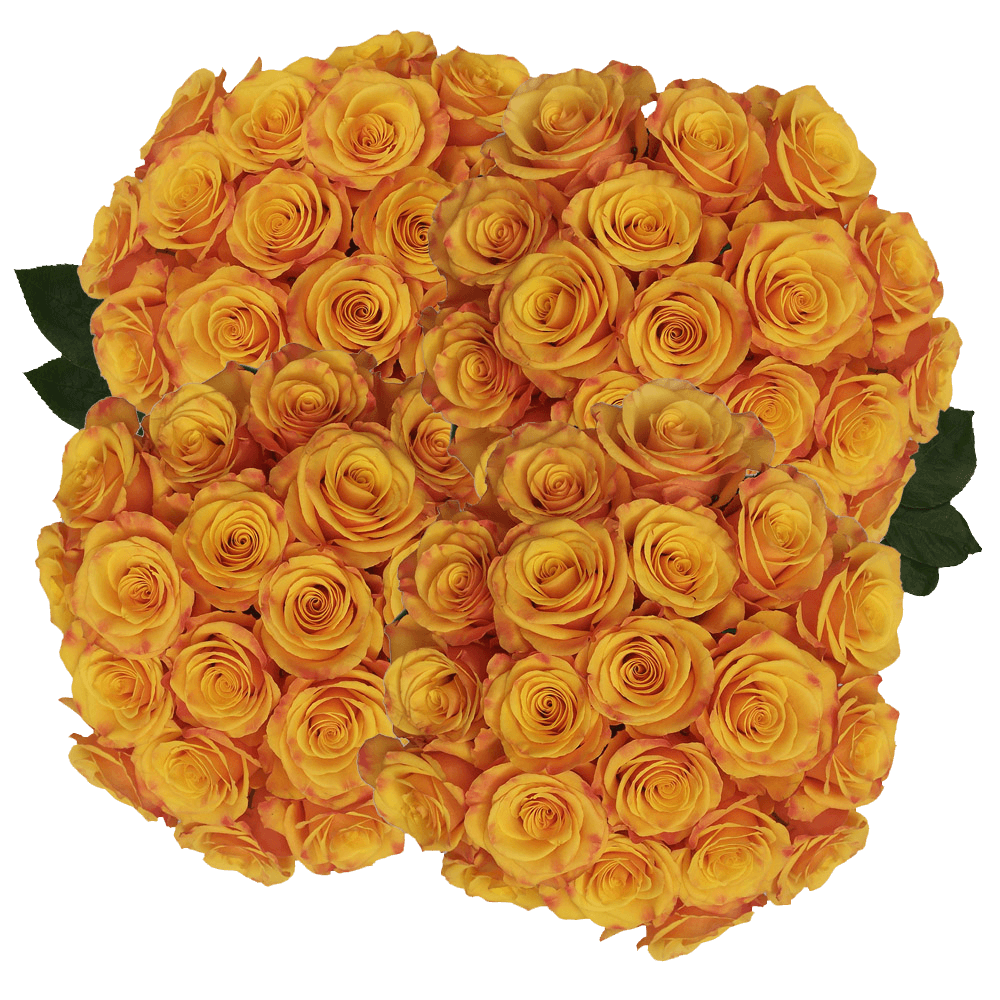 Order Pale Orange Tycoon Roses Online