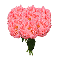 (HB) 100 Coral Supreme Peonies For Delivery to Emporia, Kansas