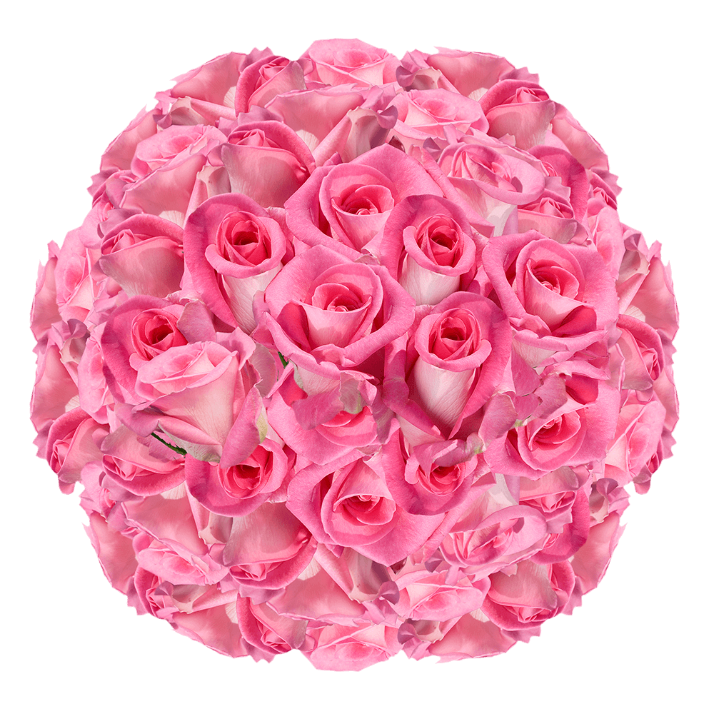 Order Pink Roses Online