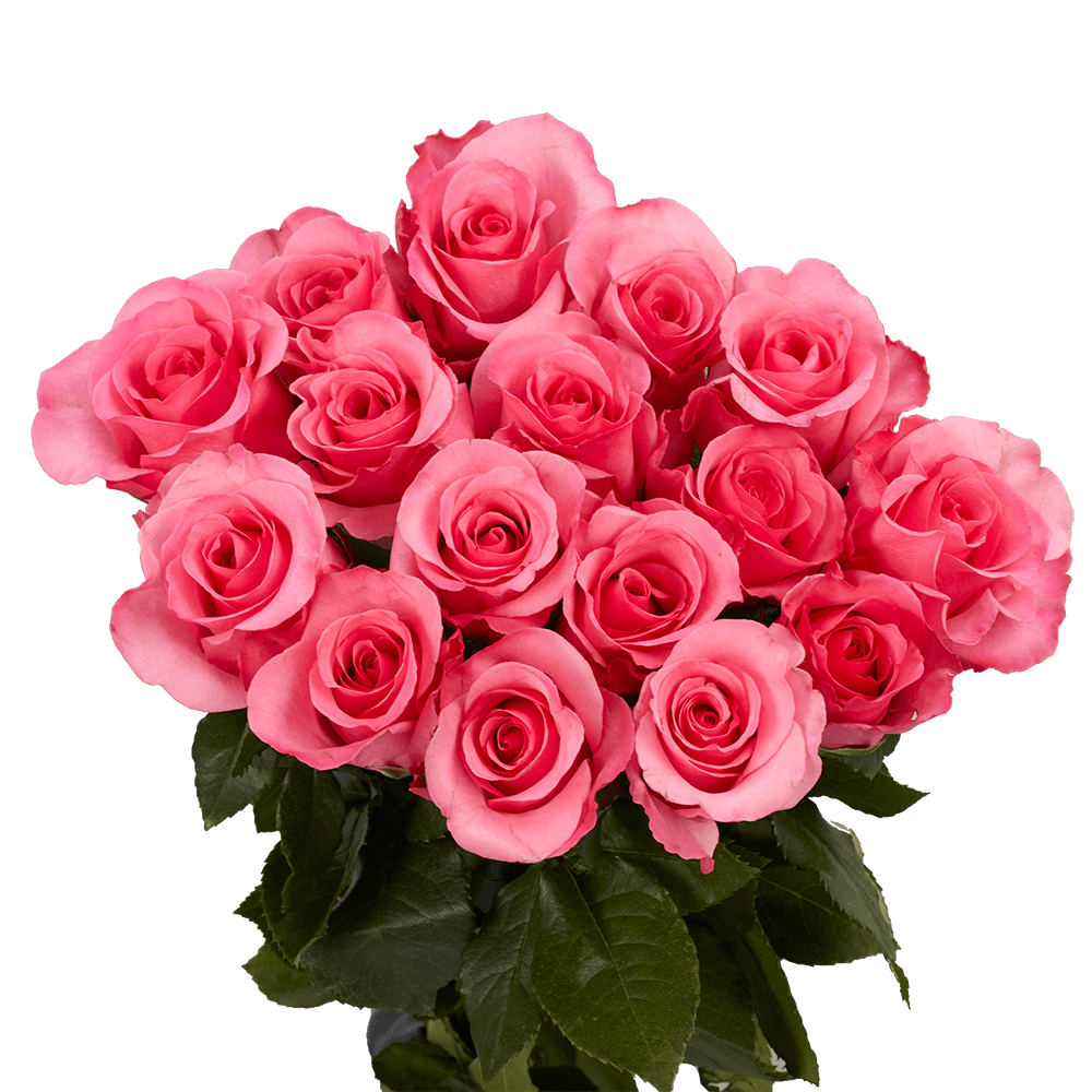 Flower Delivery to Faqs.Html, Globalrose.Com