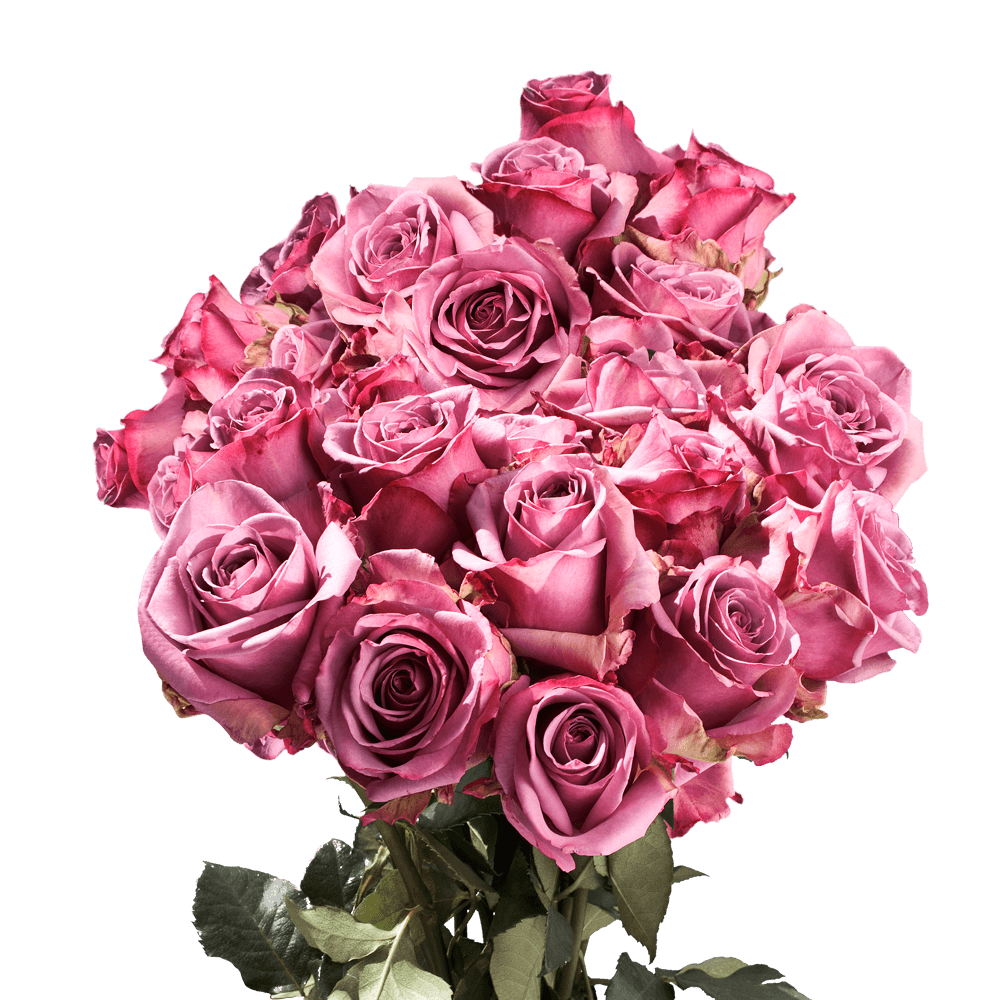 Flower Delivery to Faqs.Html, New_Mexico