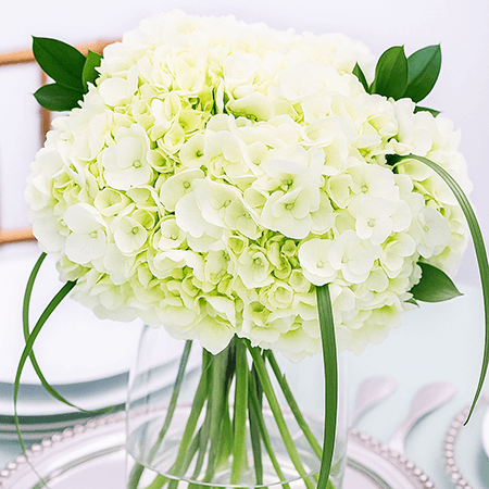 Wedding Table Centerpieces with White Hydrangea