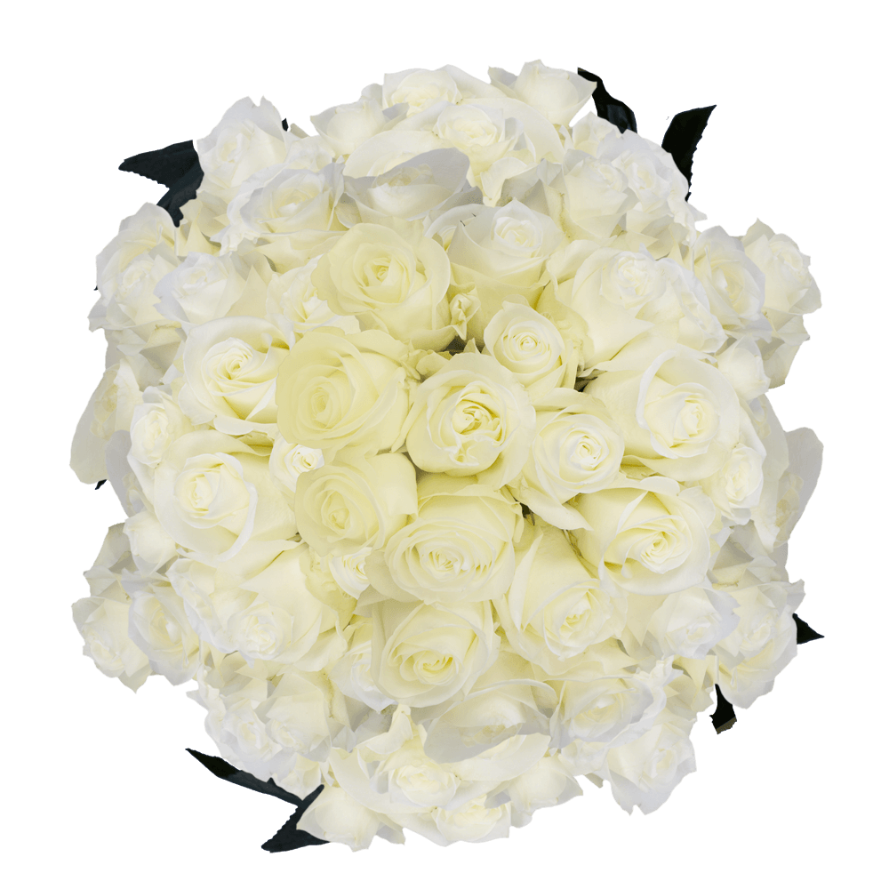 Order White Roses