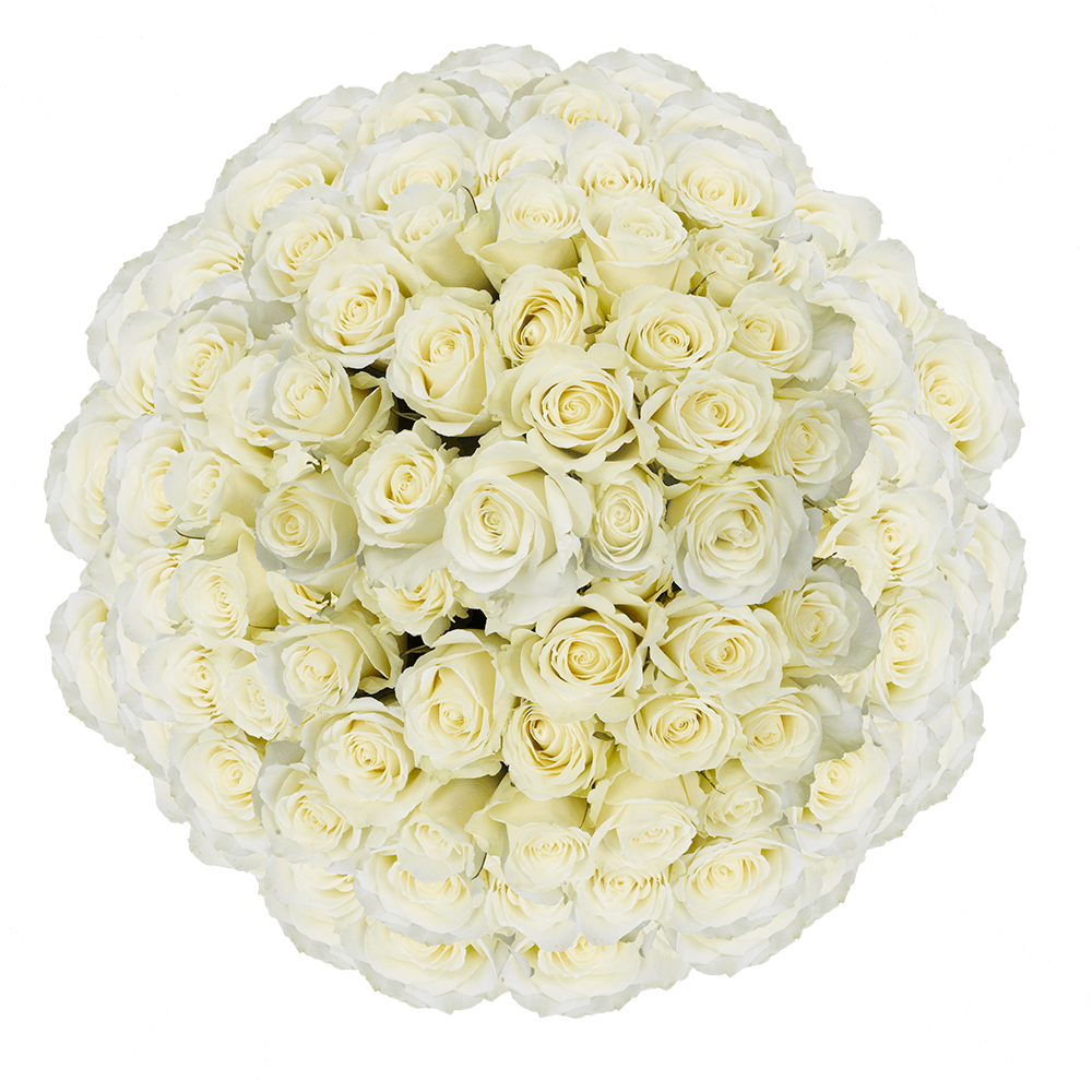 Order White Roses Online Cheap